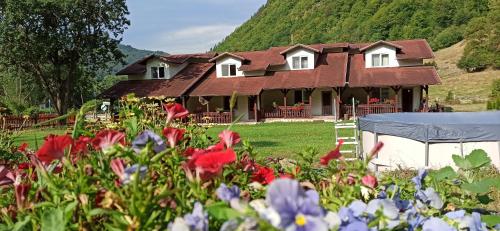 B&B Baia de Arieş - INTRE CASCADE - Bed and Breakfast Baia de Arieş