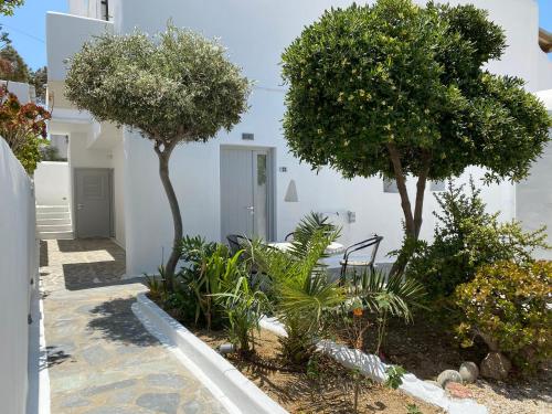 Zisis Pension Room Type - Budget Double Room