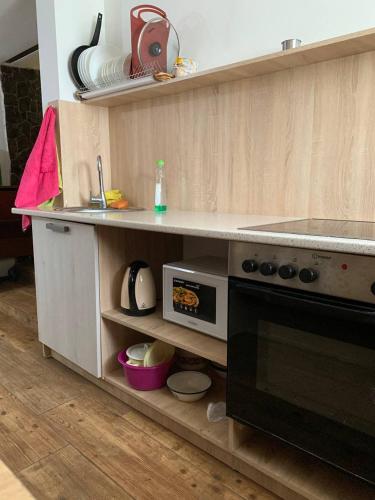 Krone Hostel in أوزهوجورود