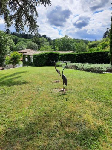 Chambres d'hôtes Le Moulin Juste Ambierle - Loire