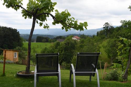 Dārzs, Kellerstöckl Maierjörgl (Kellerstockl Maierjorgl) in Wies (Styria)
