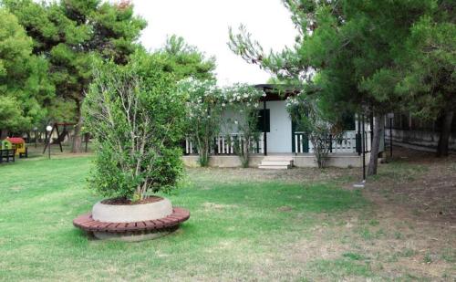 Vela Club Hotel - image 10