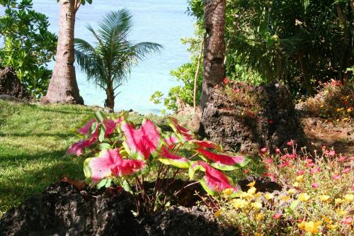 阿密漢之家旅館 Casa Amihan