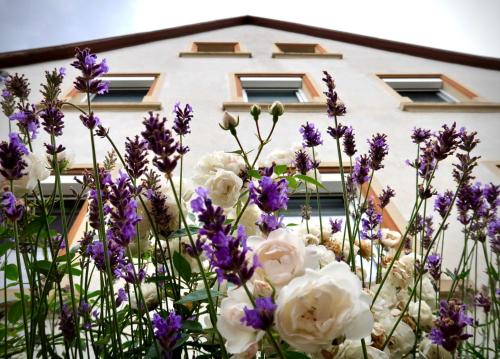 Ferienwohnung Düsel - Apartment - Maroldsweisach