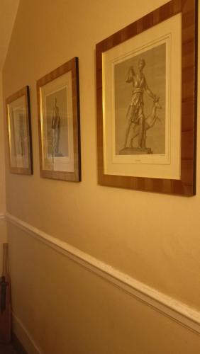 Hotel Sergul – London