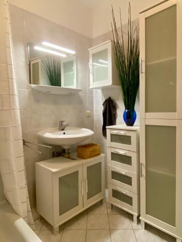 Apartment Casa Heideweg mit TG direkt an der Heide, Drážďany (fotografie 7)
