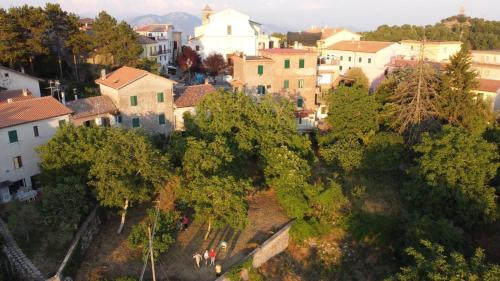 Aed, G-House in Castel San Pietro Romano