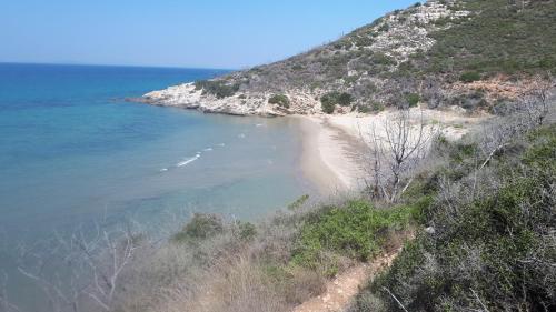 Villa Dunes - image 12