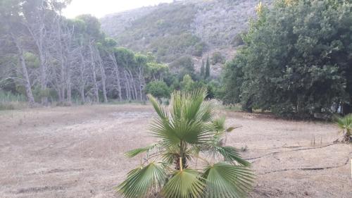 Villa Dunes - image 5