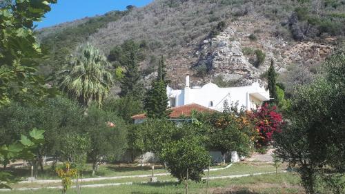 Villa Dunes 350m from the sandy beach gîte à louer Áraxos