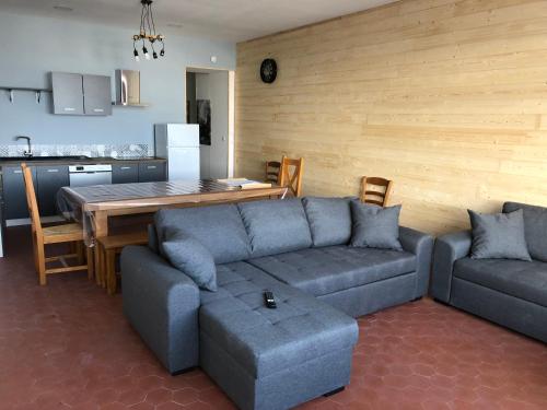 . appartement 12 couchages proche piste ski et de randonnées du lioran