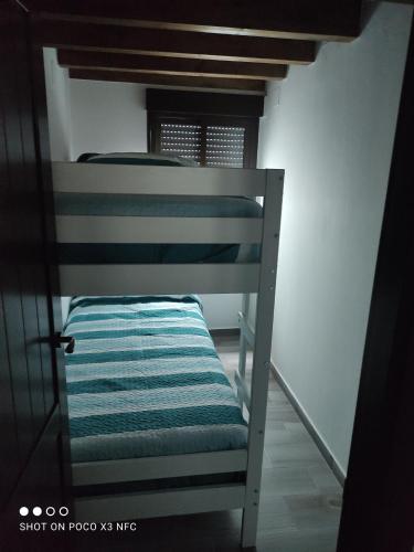 Apartamentos Patas y Patetas