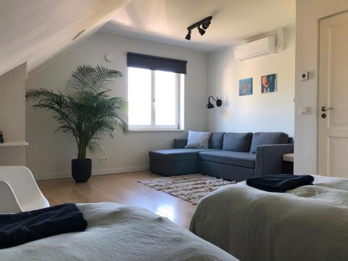 Breeze Residence Villa