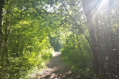 Rymlig villa med närhet till Tylösand och Halmstad GK