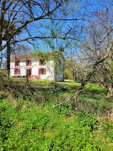 Petite maison dans les bois
