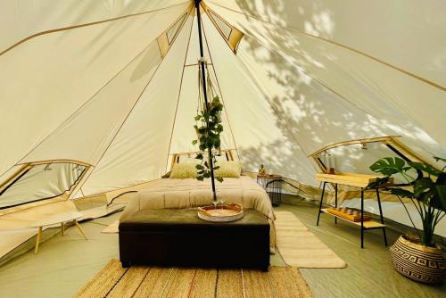 Árbol de la Vida Glamping Valle de Guadalupe