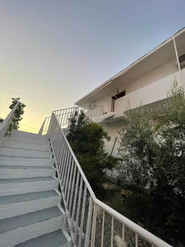Градина, Villa Oasis in Берат