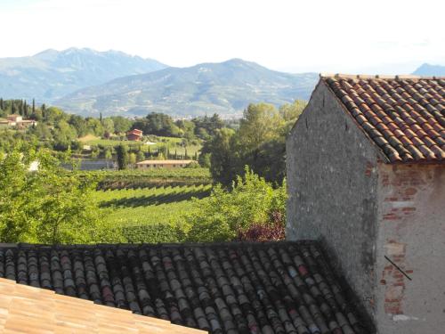 Cortecoraman - image 11