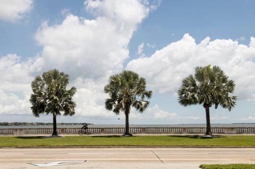 377657830 ROOST Tampa