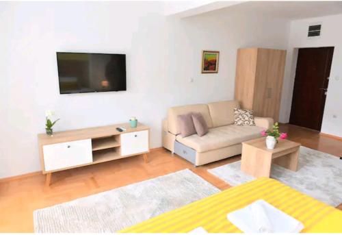 Milica Apartments, Skopje (photo 9)