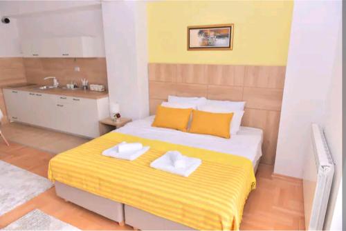 Milica Apartments, Skopje (photo 10)