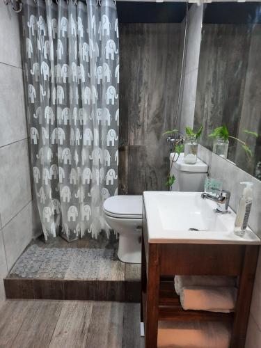 Stylish apartment San Telmo, Buenos Aires (photo 11)