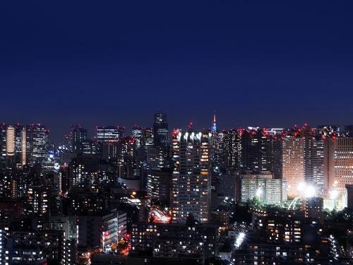 로이지르 호텔 시나가와 씨사이드 - 전망
