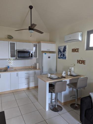 Beautiful Ocean Front Villa in Aguada