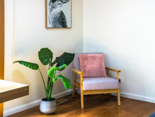 Cosy, central Olinda Camellia Cottage, Olinda (Foto 4)