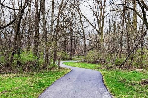 Wolf's Cabin-Walk to Downtown Noblesville