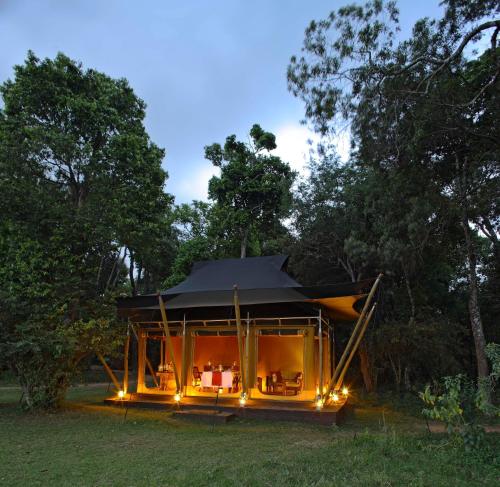 Elephant Pepper Camp