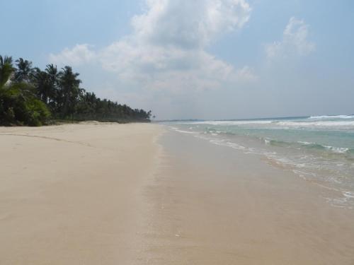 Haus am Meer 