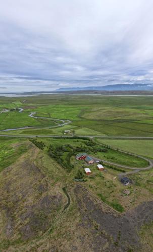 Armuli - Reynistaður