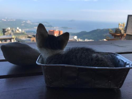 A-HOME – New Taipei City, VA