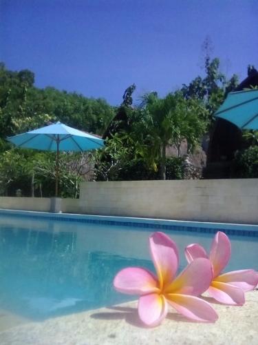 Swimming pool, Light Blue Villa in Bedoyo