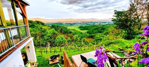 Vineyard Cottage Vercek in โนโวเมสโต