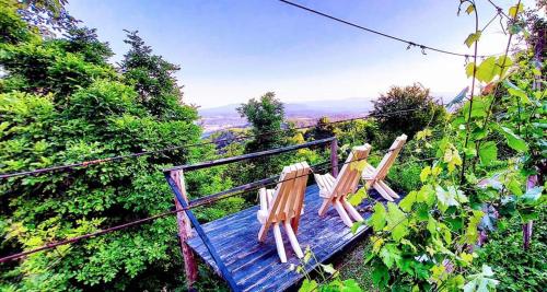 Vineyard Cottage Vercek in โนโวเมสโต