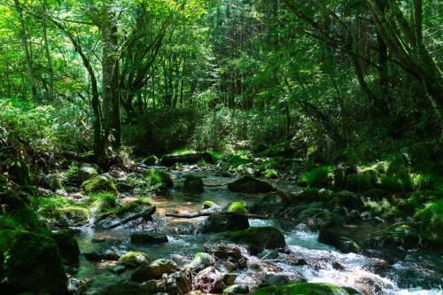 深山山荘 DENCHI, Uchiko (photo 3)