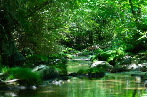 深山山荘 DENCHI, Uchiko (photo 10)