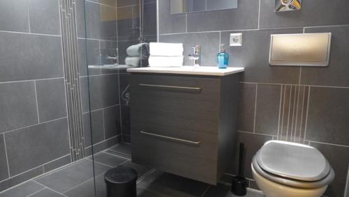 Zuhanyzó, Apartment Blue Regensburg in Galgenberg