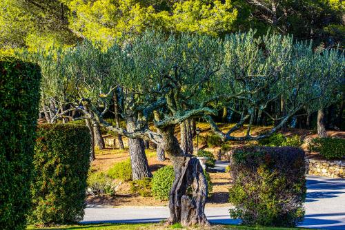 La Bastide De Tourtour Hotel & Spa