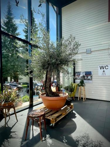 Facilities, Aleksandri Guesthouse in Ulejoe