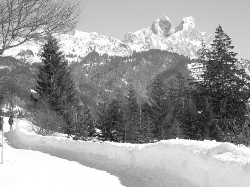 Austria Zimmer & Ferienwohnungen - image 2