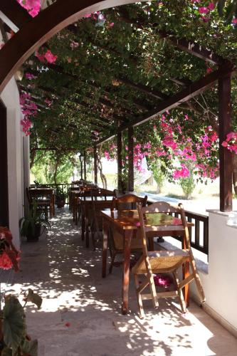Hotel Angeliki in Ireo