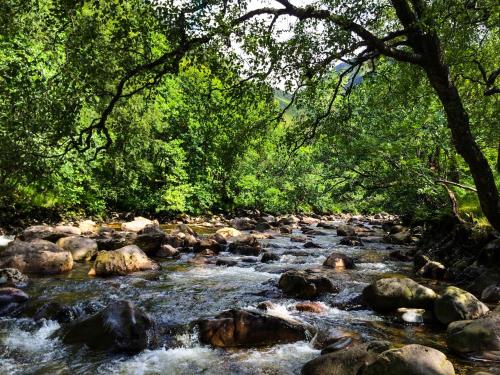 Glen Nevis Holidays