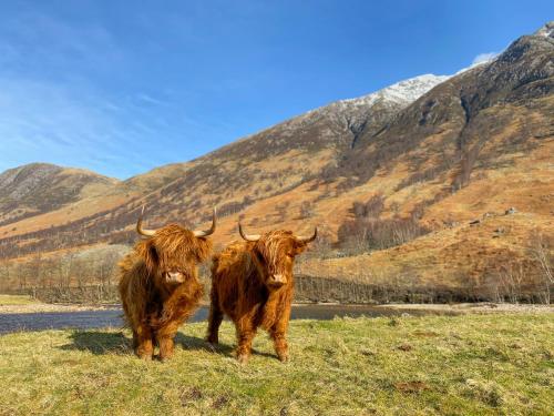 Glen Nevis Holidays - image 6