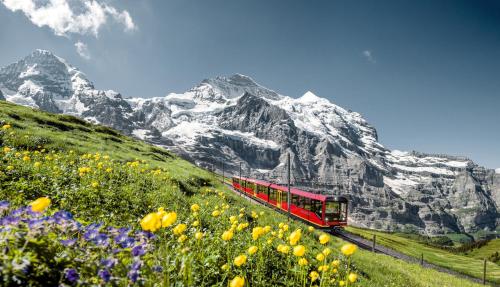 الأنشطة, Schutzenbach Backpackers For Adults 18-32 years only in لوتيربرونين