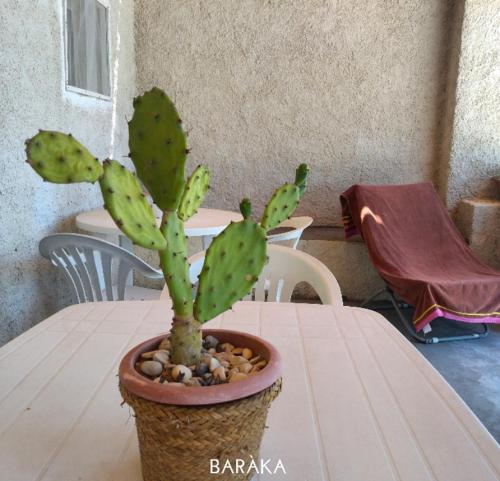 Baràka - Bungalow sulla spiaggia, Donnalucata (Foto 5)