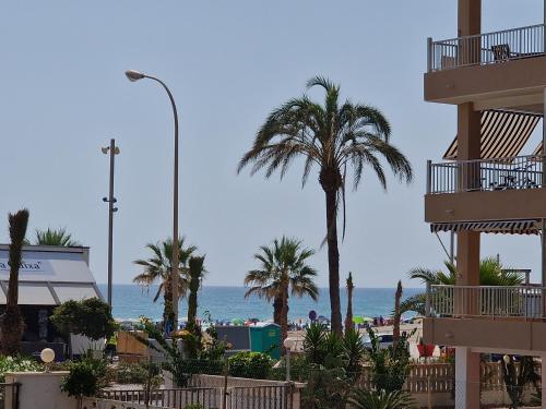 MIYAS 1, Primera línea de playa