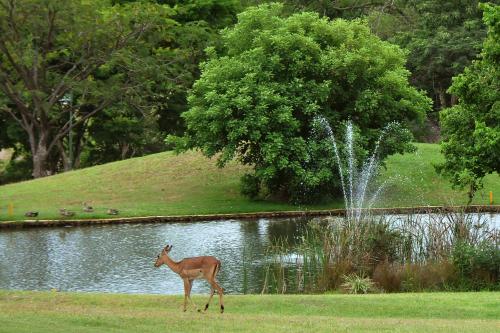 Kruger Park Lodge Unit No. 267 with private pool